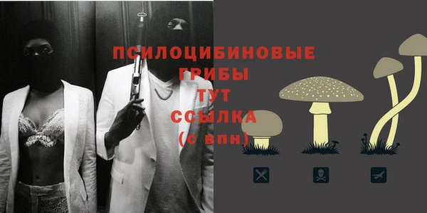 крисы Бронницы
