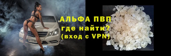 прущие крисы Верея