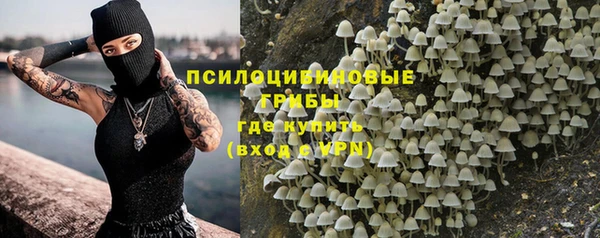 прущие крисы Верея