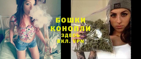 сатива Бугульма