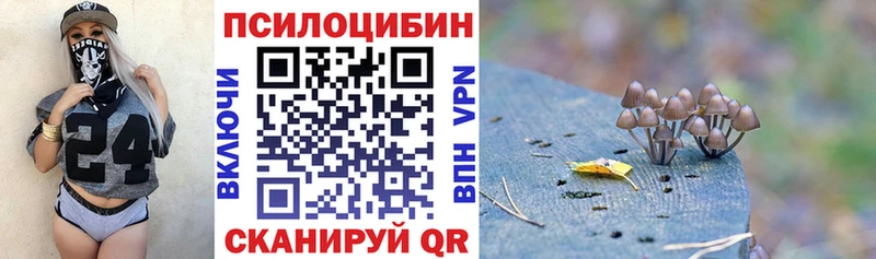 блэк спрут зеркало  Венёв  Галлюциногенные грибы Magic Shrooms 